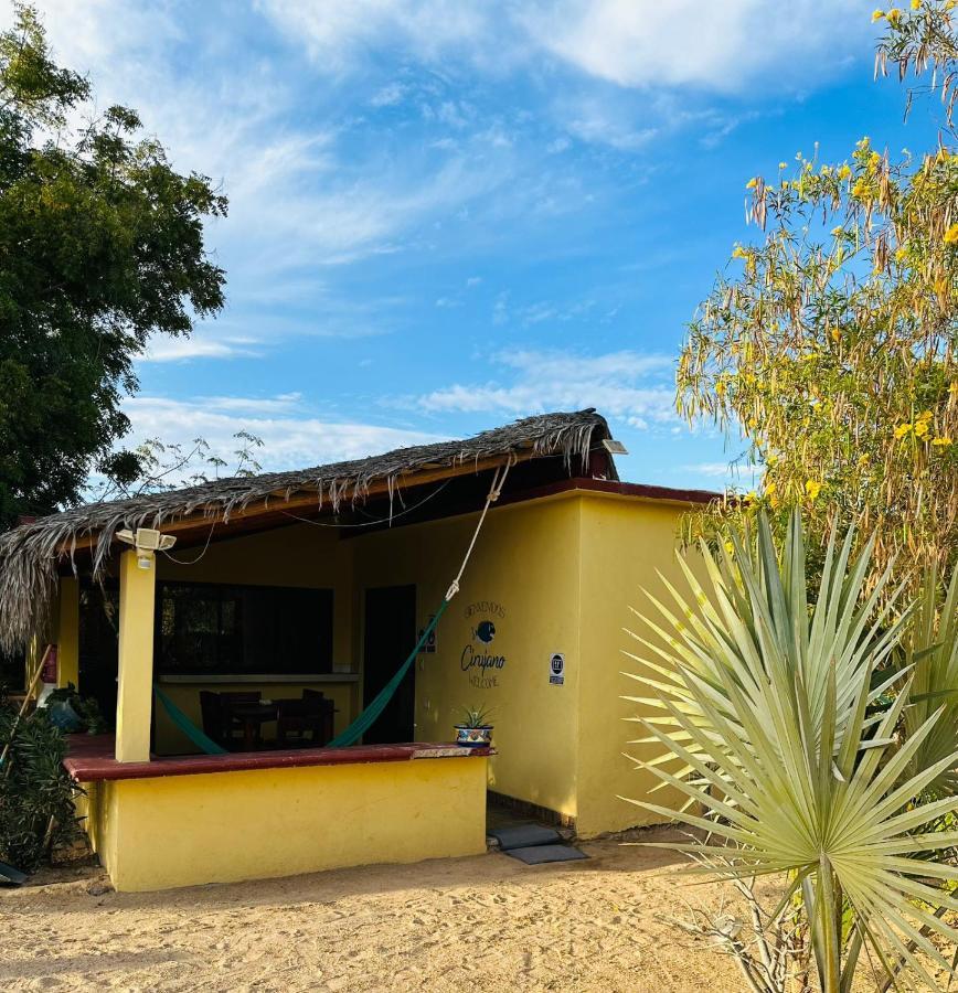 Bungalow Cirujano Apartment Cabo Pulmo Exterior photo